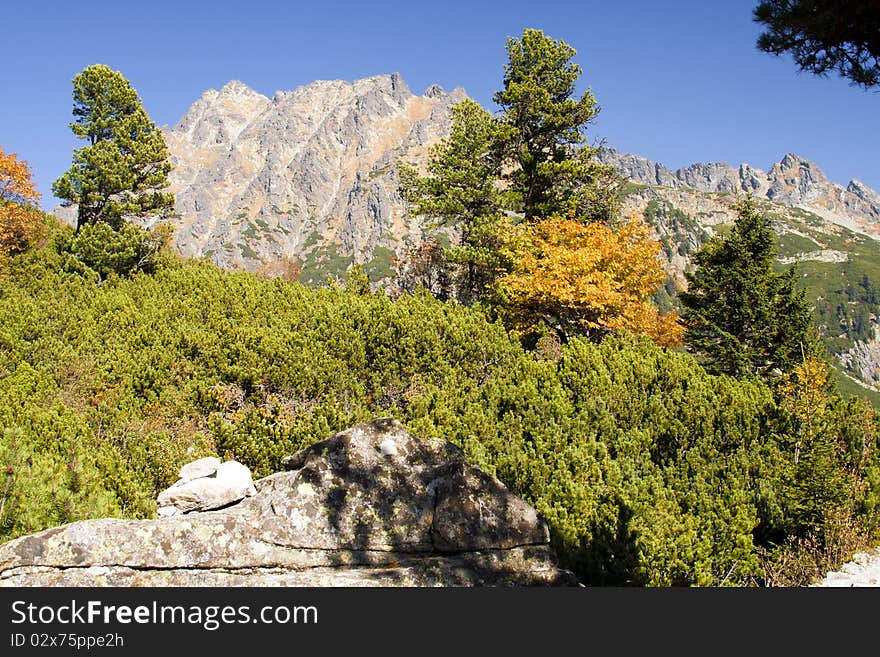 High Tatra in autumn scene, Slovakia