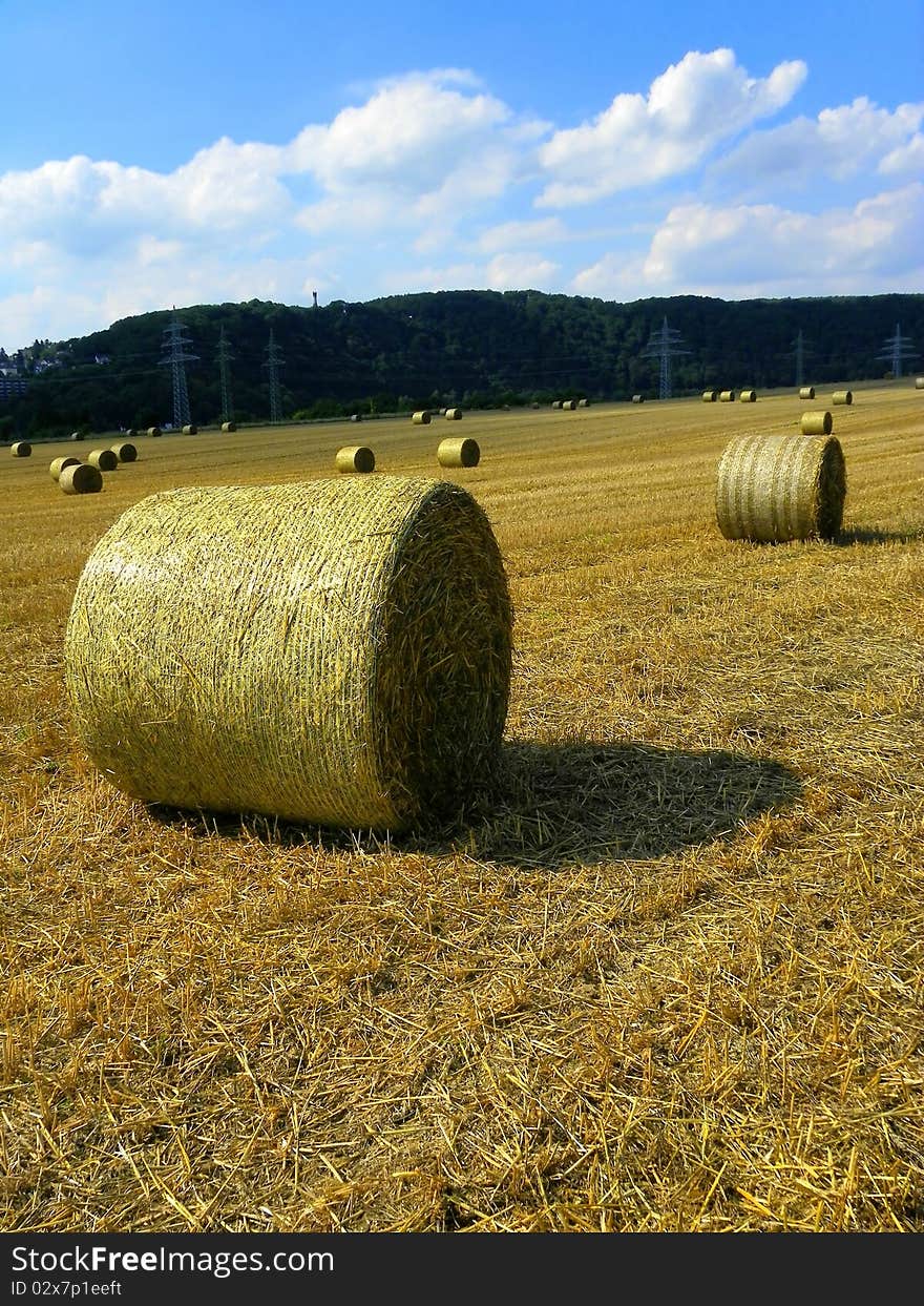 Bale of straw