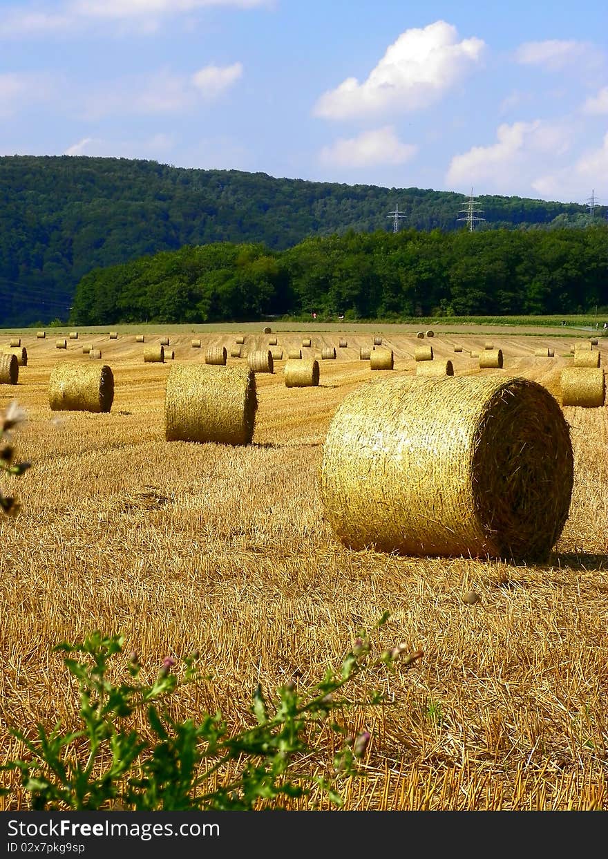 Image of a Bale of straw