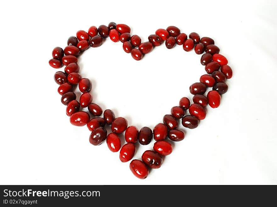 Heart Is Lined With Dogwood Berries