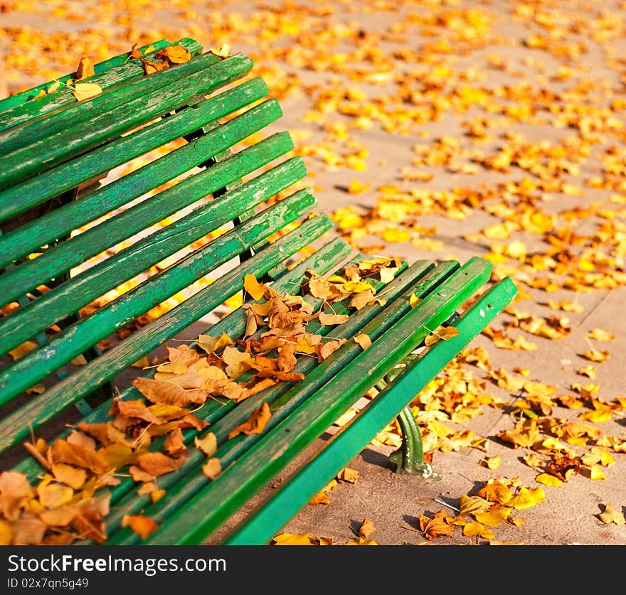 This photo was taken in Spain in autumn. This photo was taken in Spain in autumn.