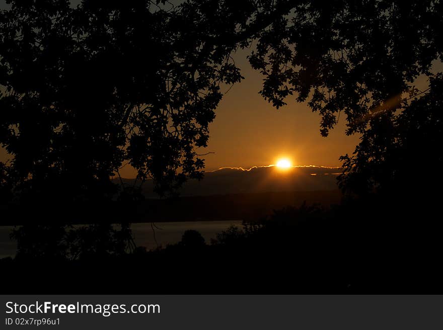 A sunrise over Lake Washington with tree branches creating a frame for the sun. A sunrise over Lake Washington with tree branches creating a frame for the sun