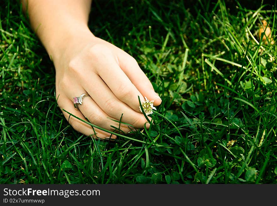 A persons hand in the green grass. A persons hand in the green grass