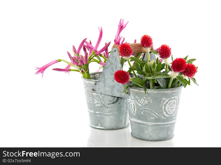 Colorful Dahlia flowers in decorated glass vases isolated on white background