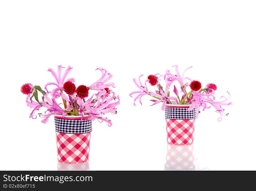 Little vases with pink and red flowers isolated white background