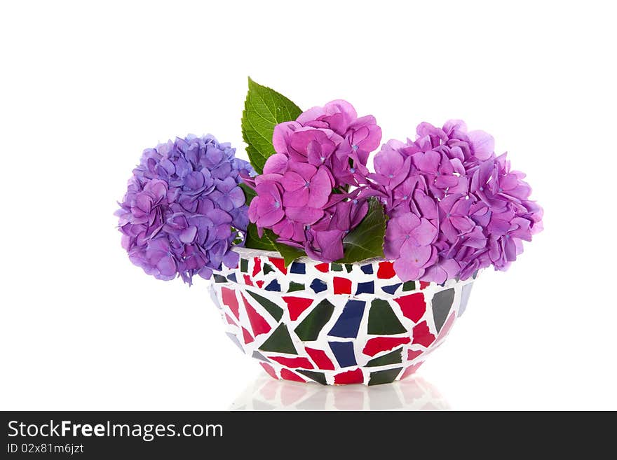 Colorful hydragena in a mosaic flowerpot isolated on white. Colorful hydragena in a mosaic flowerpot isolated on white