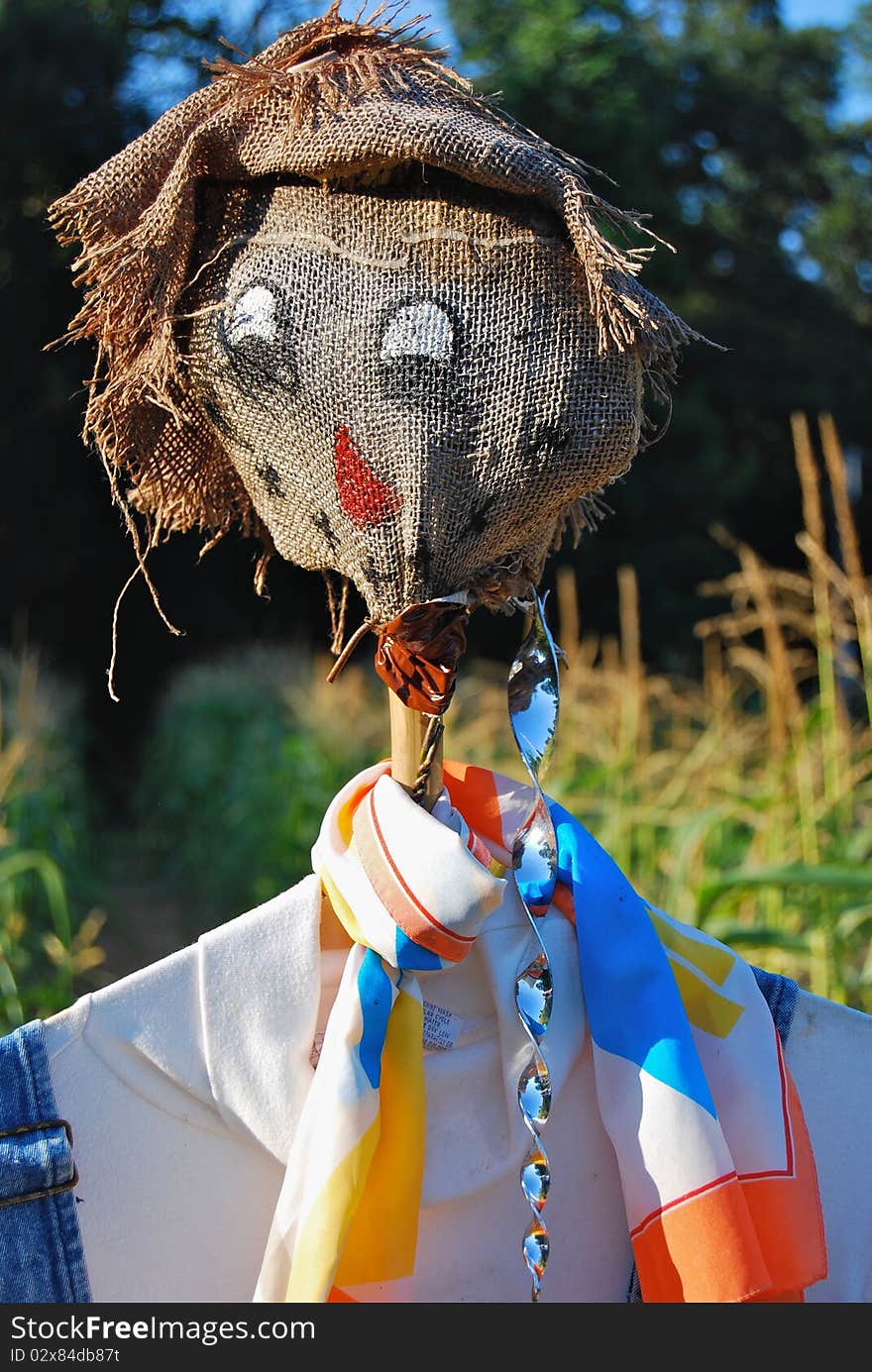 Scarecrow guarding cornfield