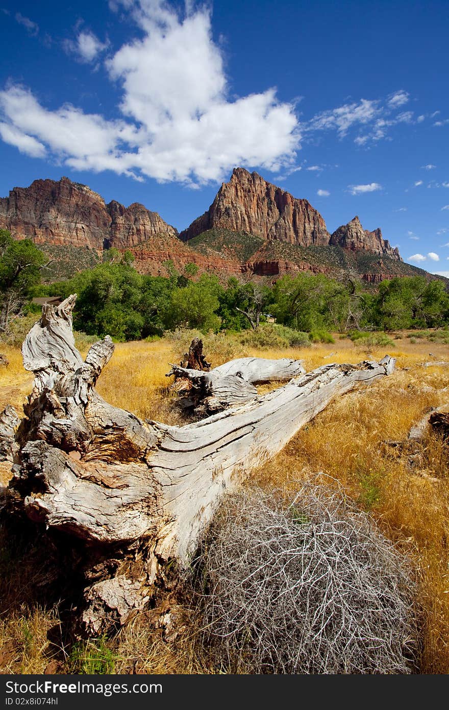 Zion national park