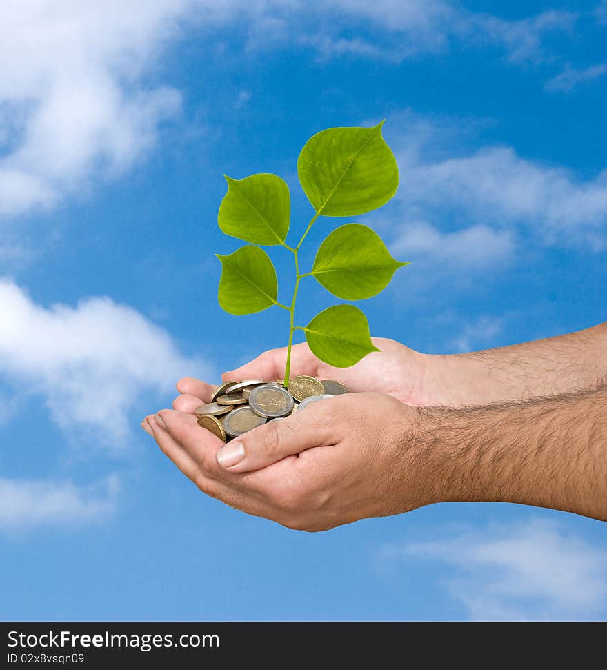 Palms With A Tree Growng From Coins