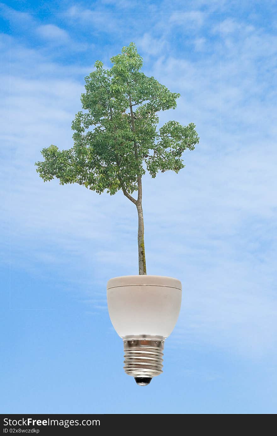 Tree growing from base of fluorescent lamp. Tree growing from base of fluorescent lamp