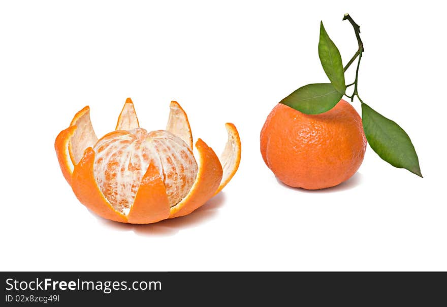 Close up of Tangerines isolated on white background