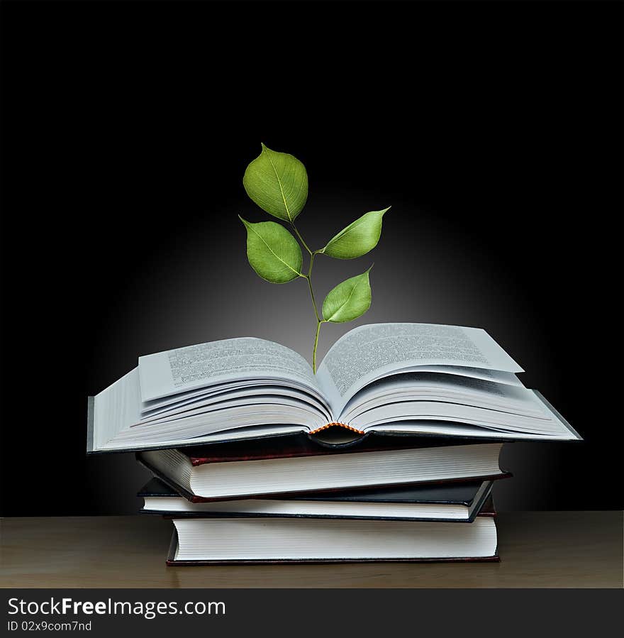 Tree Growing From Book