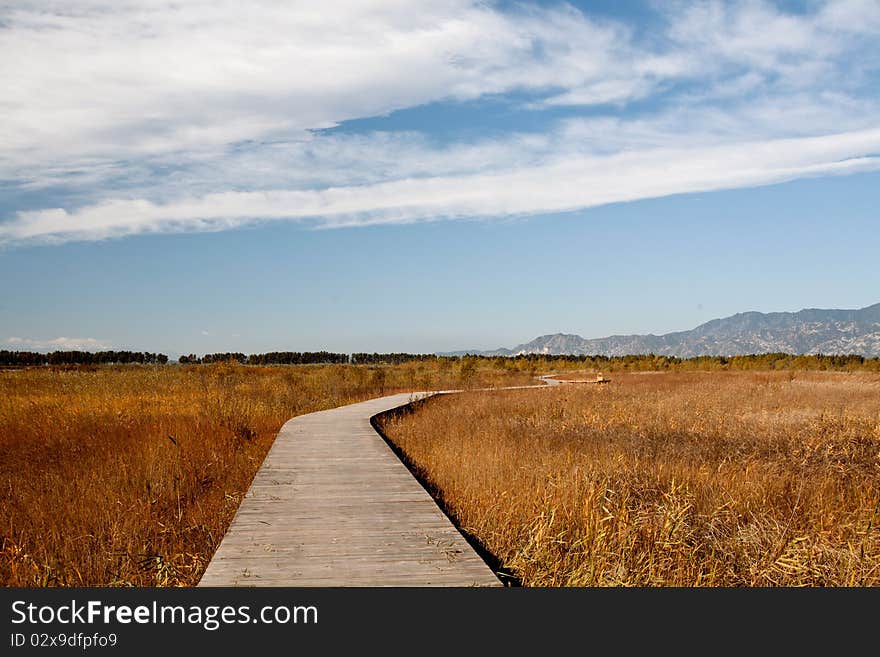 Blue sky,white cloud and winding road