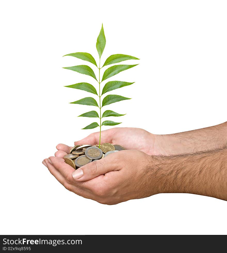 Hand with a tree growing from pile of coins. Hand with a tree growing from pile of coins