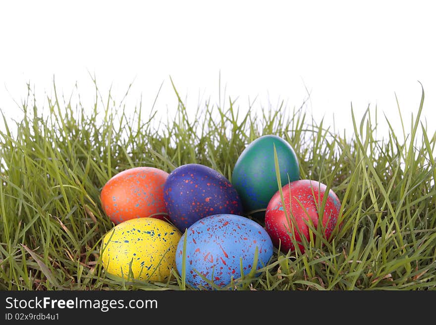 Colored easter eggs on grass over white background. Colored easter eggs on grass over white background