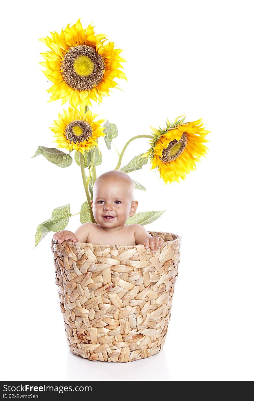 Baby boy with flowers on white