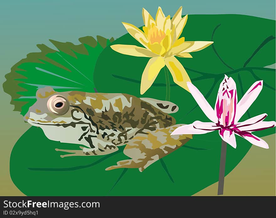 Frog on leaf near flowers