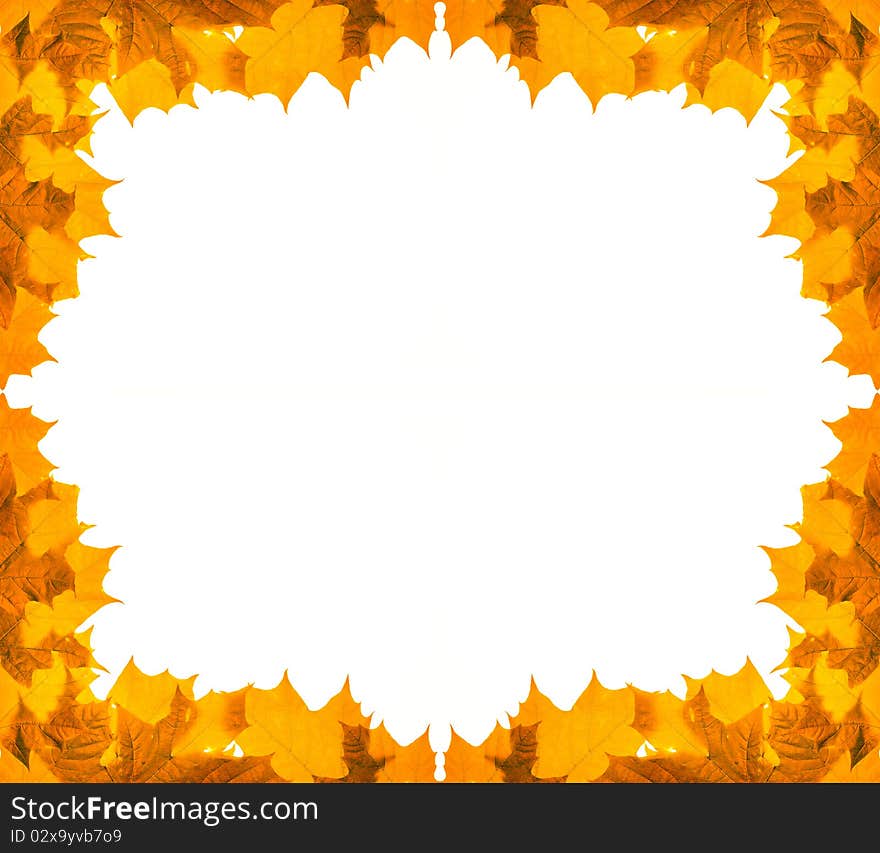 Maple leaves frame isolated on white background. Maple leaves frame isolated on white background