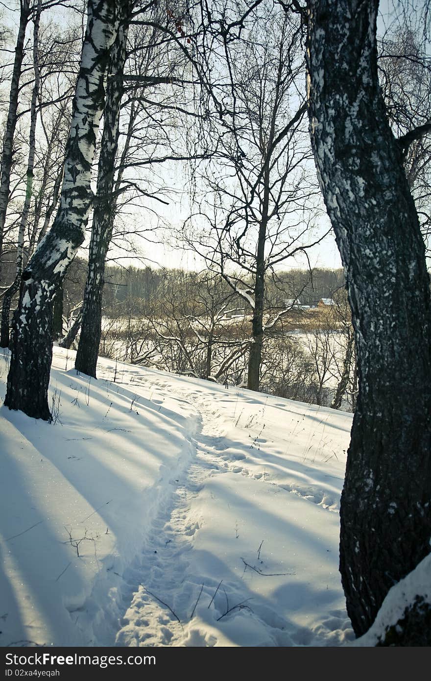 Snow Path