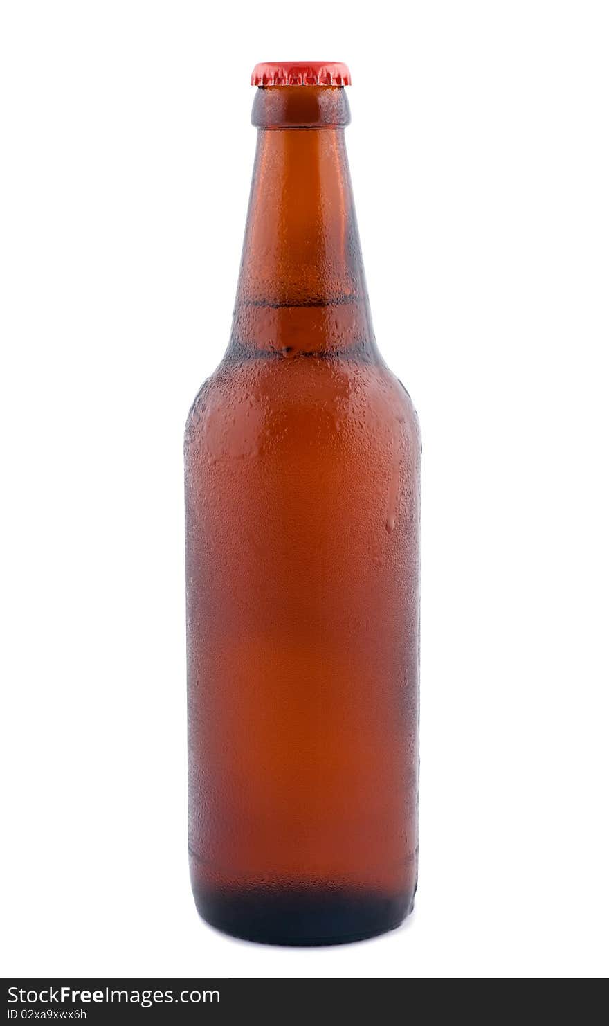 Beer In Bottle  Isolated On White.