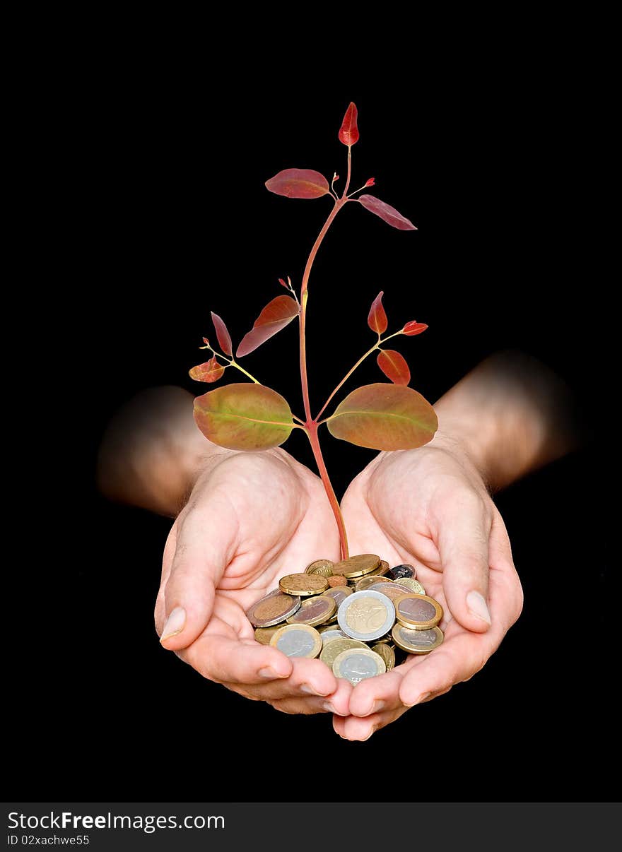 Hands with a tree growing from pile of coins