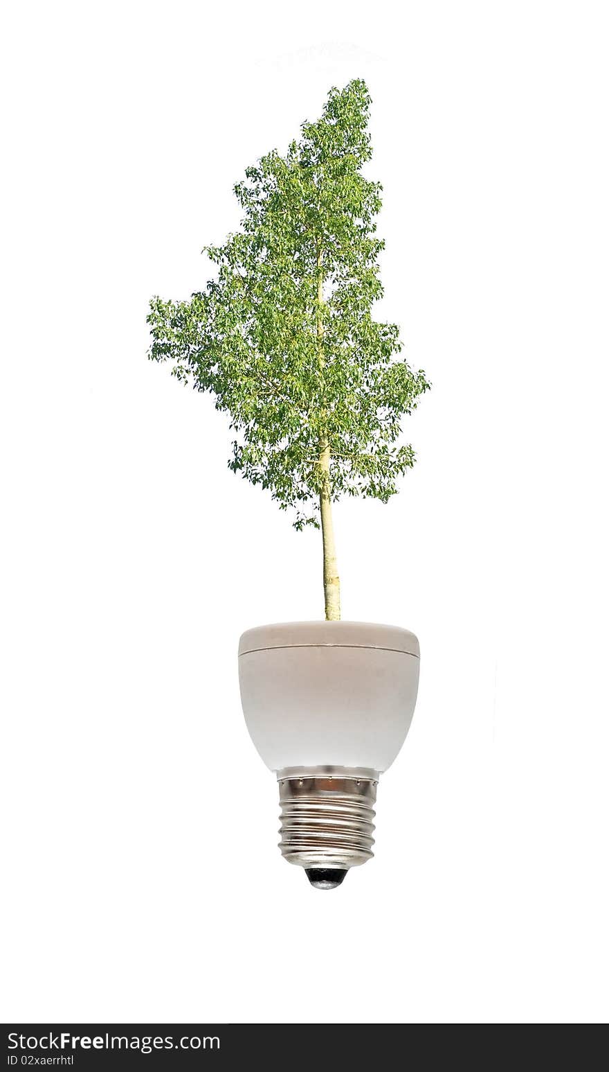 Tree growing from base of fluorescent lamp. Tree growing from base of fluorescent lamp