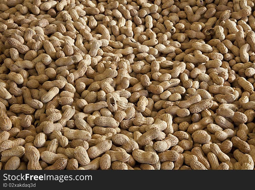 A bin of peanuts ready to be roasted