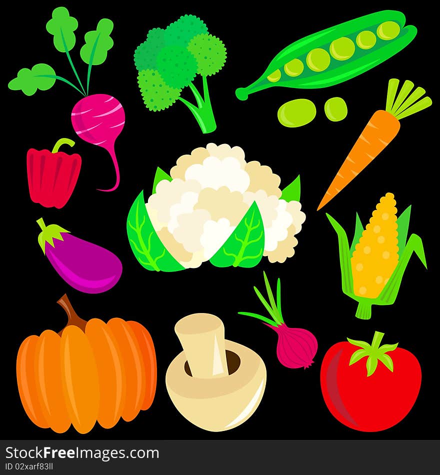 Set of vegetable illustration vector. Set of vegetable illustration vector