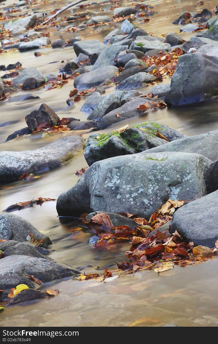 Small creek in forest for wallpaper use