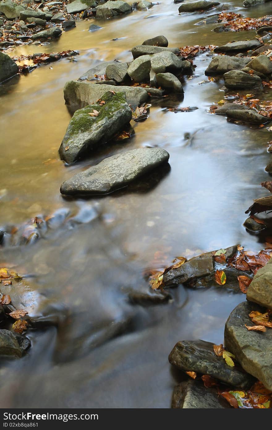 Beautiful small creek in forest for wallpaper use