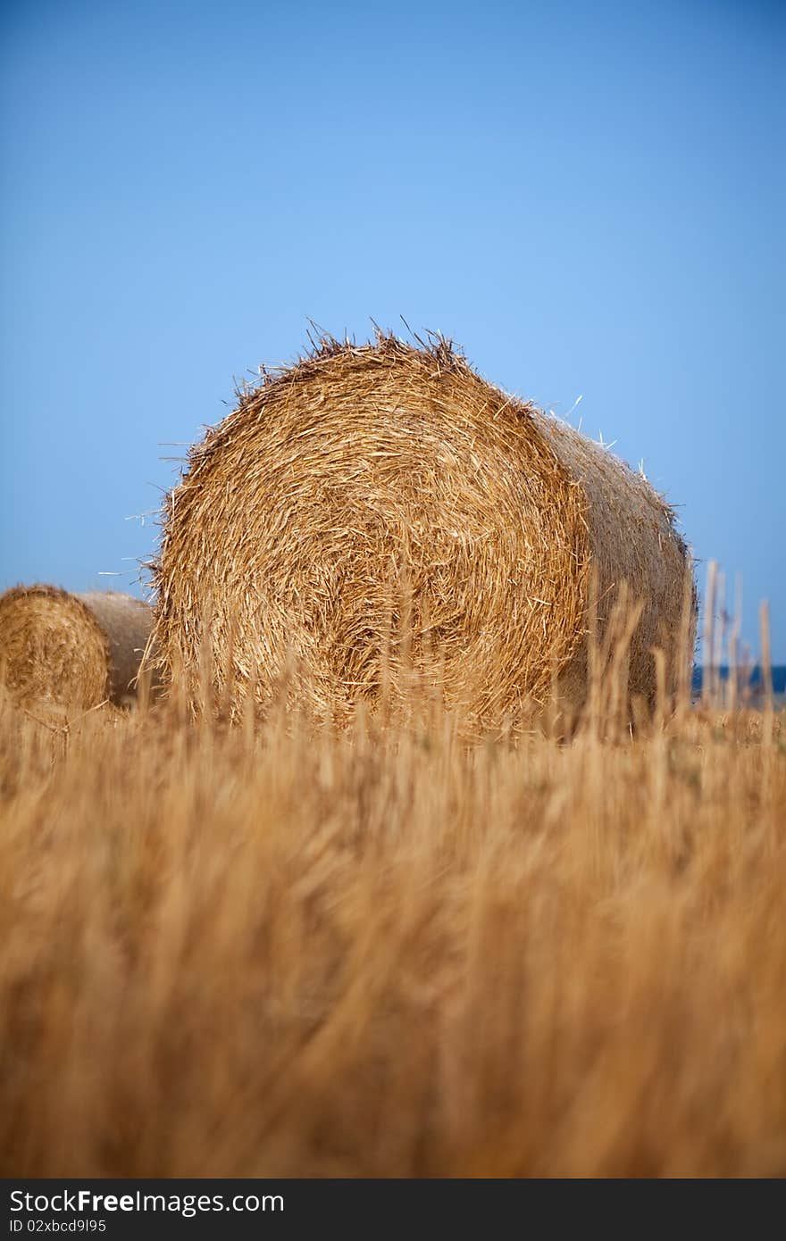 Rolls of hay in the autumn field with blue sky as background