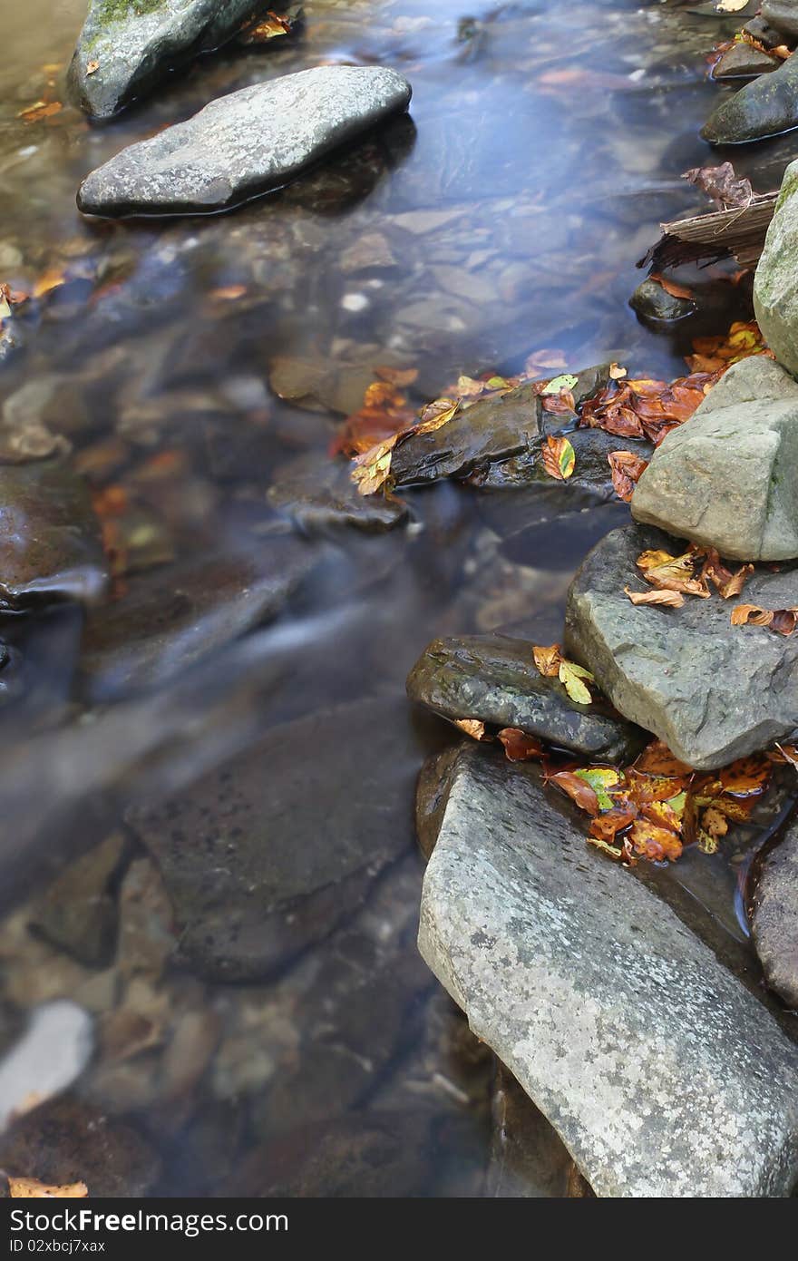 River in forest (long exposure shot)