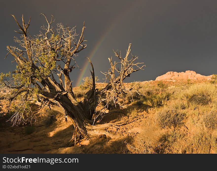 Rainbow Over Arches National Park