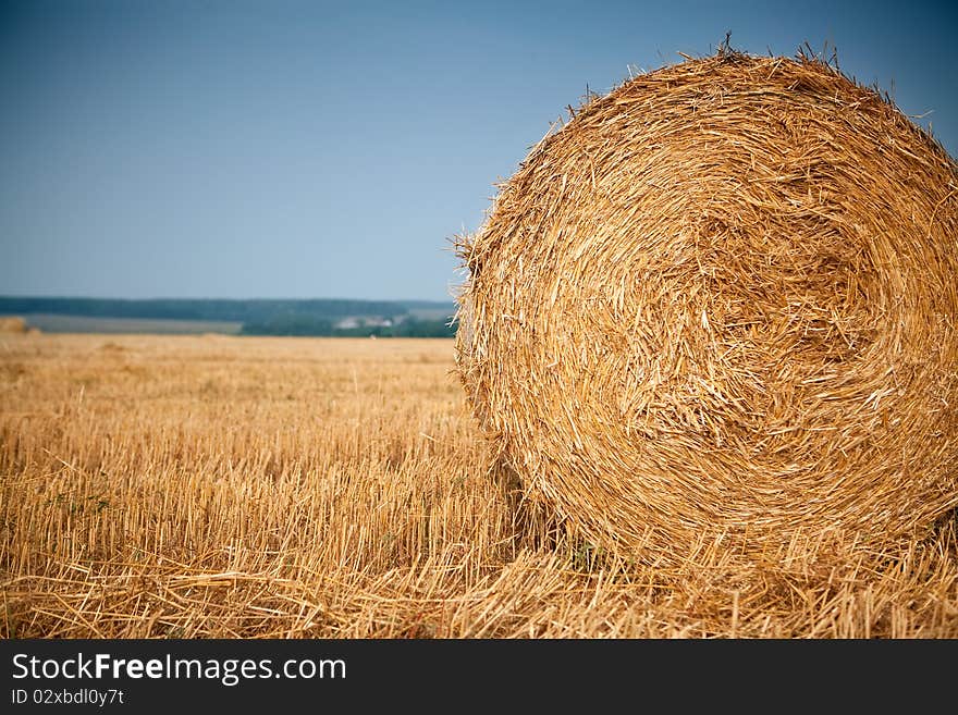 Rolls of hay in the autumn field with blue sky as background