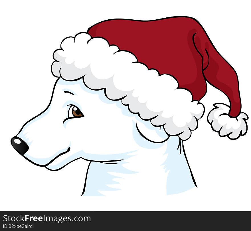 Profile of a cute polar bear in a Christmas hat. Profile of a cute polar bear in a Christmas hat.