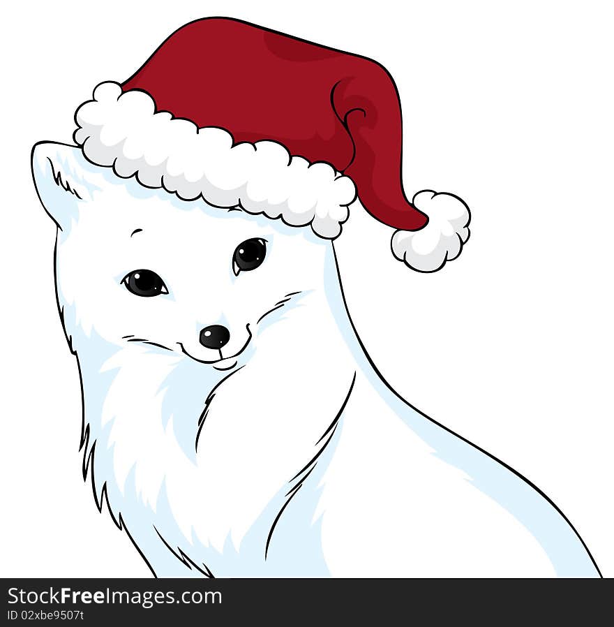 Portrait of a cute polar fox wearing a Christmas hat. Portrait of a cute polar fox wearing a Christmas hat.