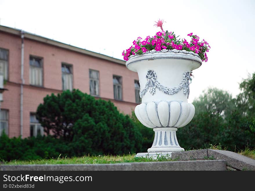 Vase With Flowers