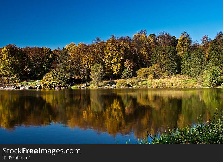 Autumn wood reflection