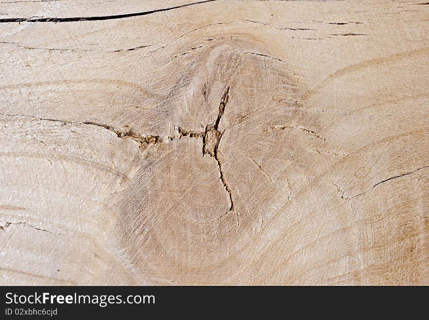 Wood Texture