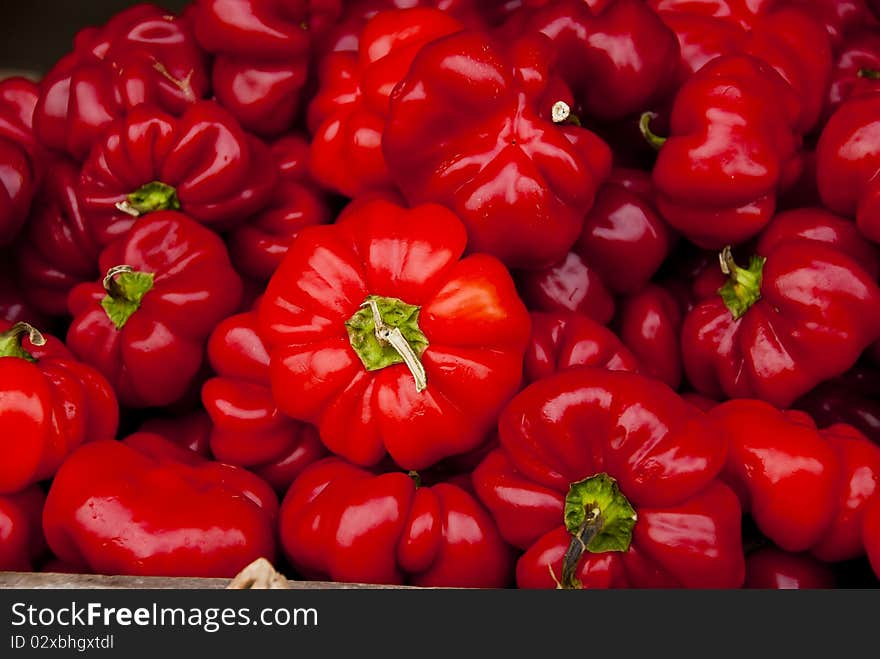 Bell peppers in a bin