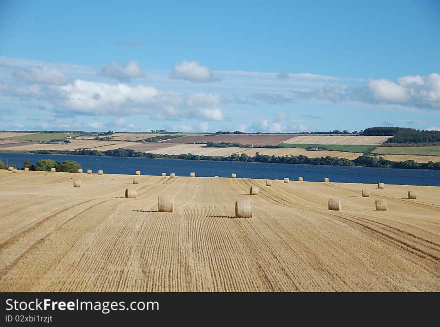 There are a lot of straw bales and farms after harvest in Scotland. There are a lot of straw bales and farms after harvest in Scotland.