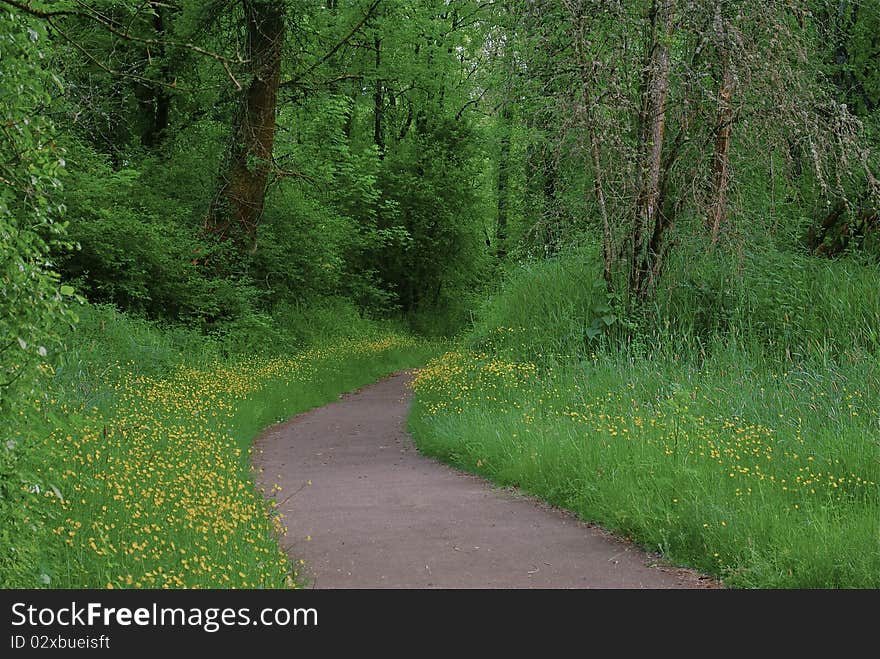 Flowered Path