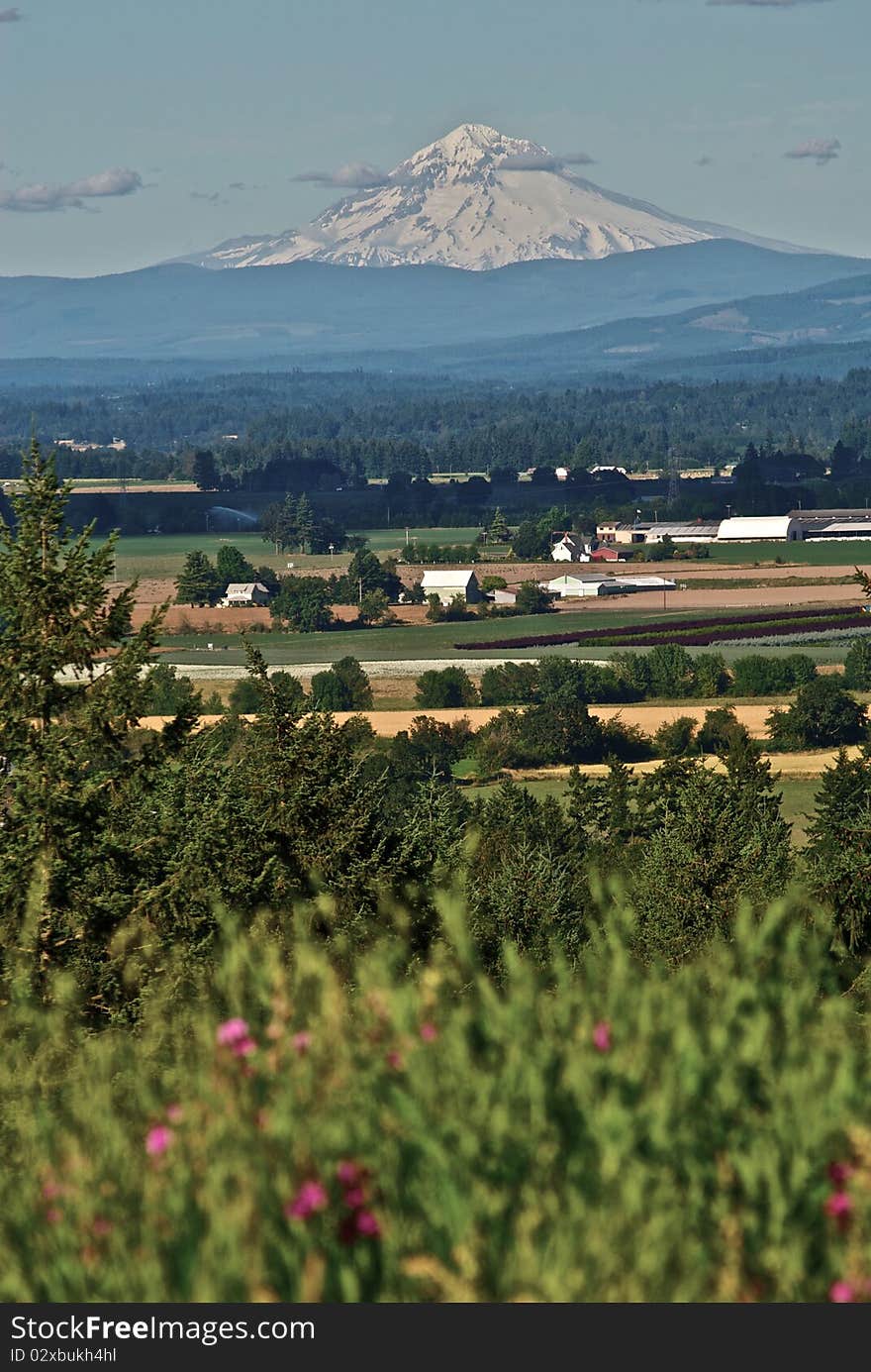 Mt Hood