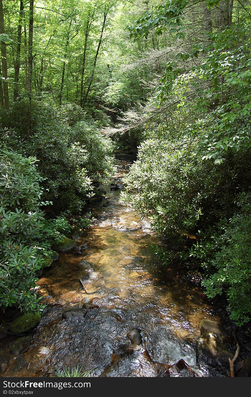 Summer stream in the NC mountains. Summer stream in the NC mountains