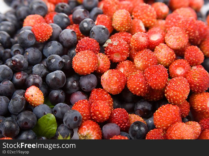 Wild strawberries and blueberries