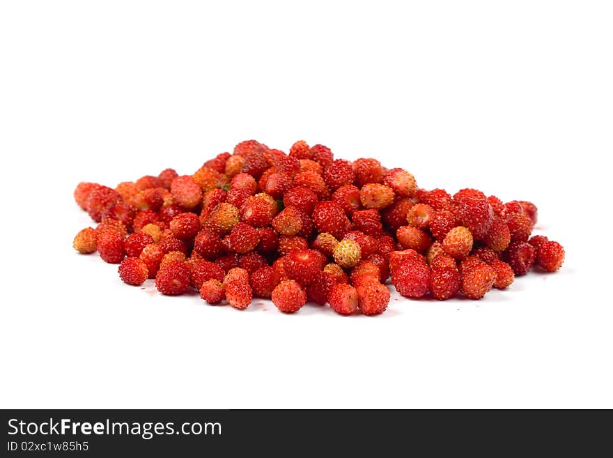 Wild strawberries