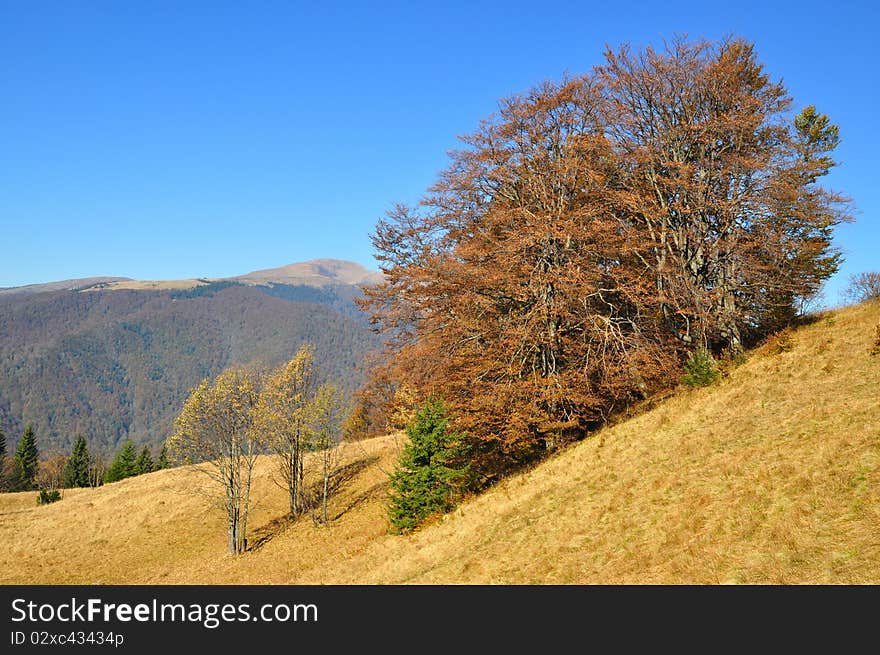 Autumn in mountains.