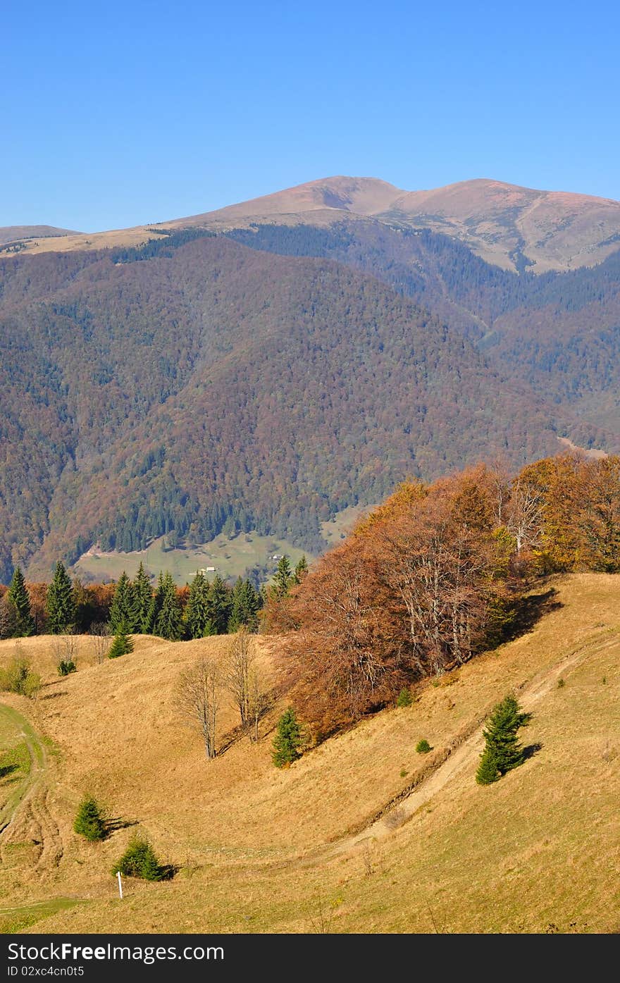 Autumn In Mountains.