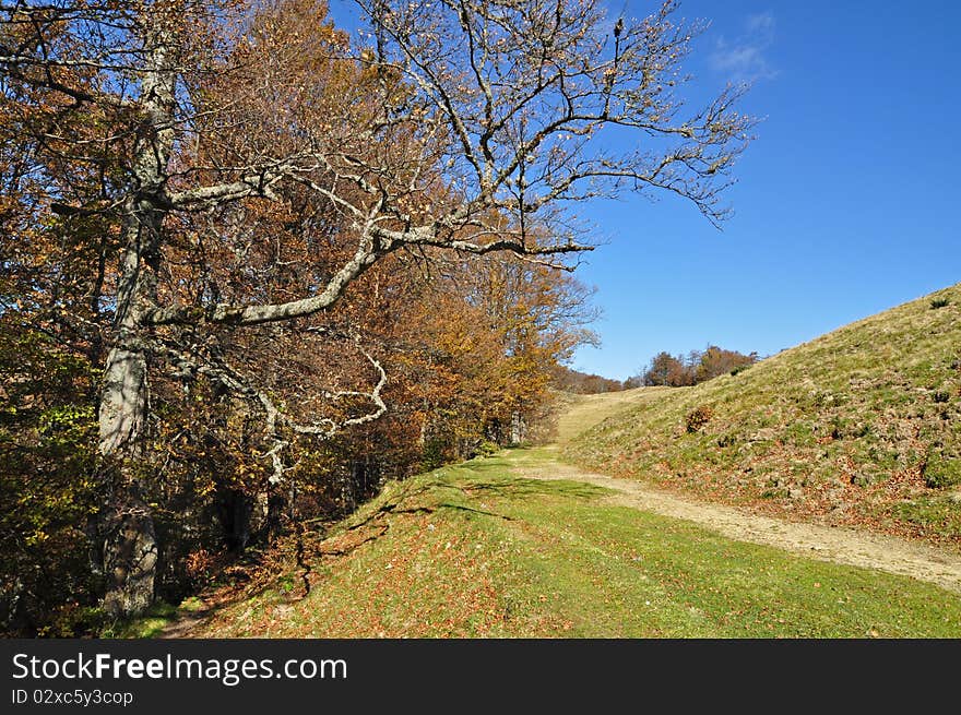 Soil road on a hillside.