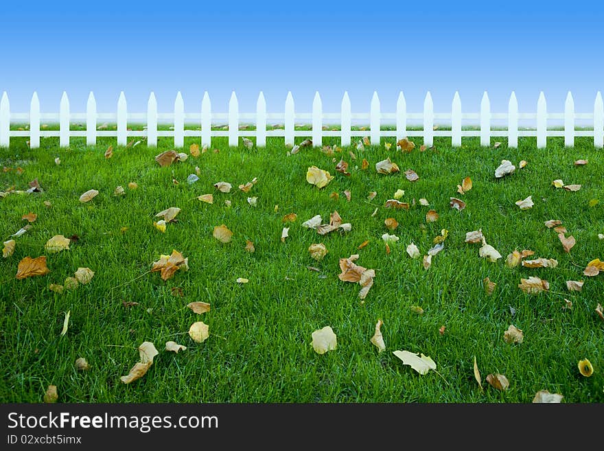 Grassland　leaf　and white fence. Grassland　leaf　and white fence